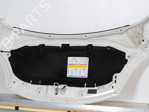 Used Hood FIAT 500L (351_, 352_) 1.4 (199LYB1B) (95 hp) 22623678