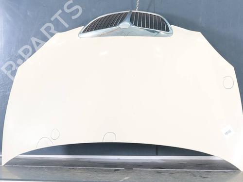 Panser Panser LANCIA YPSILON (843_) 1.2 (843.AXB1A) (80 hp) 36963758 36963758