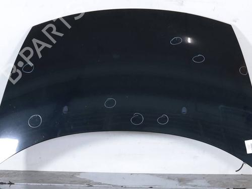 hood-citroen-c3-ii-sc_-2009-31793483 main image