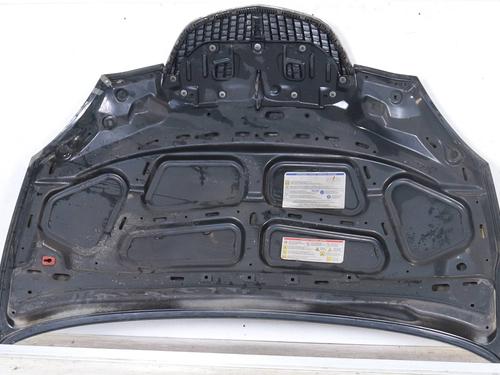 Hood LANCIA YPSILON (843_) 1.2 (843.AXA1A) | BP24954372C1 