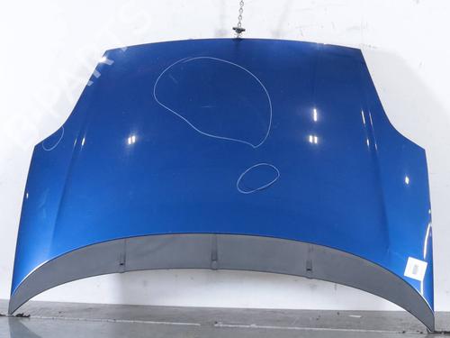 hood-fiat-punto-evo-199_-2008-33616068 main image