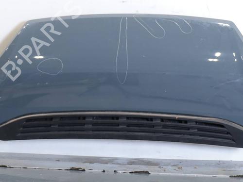 hood-fiat-ducato-platformchassis-250_-2006-30662537 main image