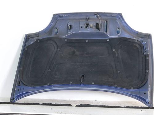 Hood FIAT SEICENTO / 600 (187_) 0.9 (187AXA, 187AXA1A) | BP29453924C1 