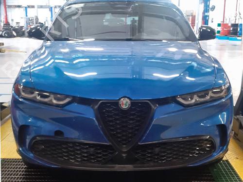 Brugte ALFA ROMEO TONALE (965_) 1.3 Hybrid Q4 4923796