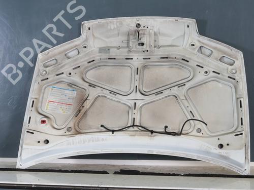 Hood FIAT PUNTO (188_) 1.2 60 (188.030, .050, .130, .150, .230, .250) | BP29481033C1 