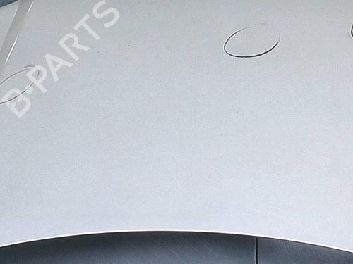 Hood FIAT PANDA (169_) 1.2 (169.AXB11, 169.AXB1A) | BP29008852C1 