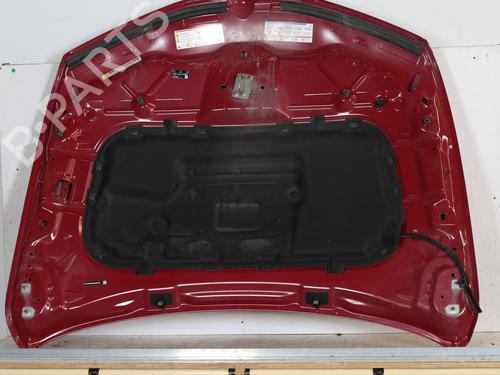 Hood ALFA ROMEO STELVIO (949_) 2.0 Q4 (949.AXA2A) | BP23241337C1