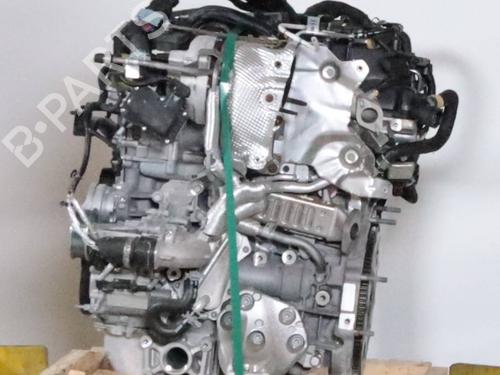 Used Engine ALFA ROMEO GIULIA (952_) 2.0 (952ACA25) (280 hp) 28359834