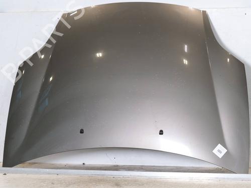 Used Hood Hood FIAT BRAVO II (198_) 1.9 D Multijet (198AXB1A) (120 hp) 30663034 30663034