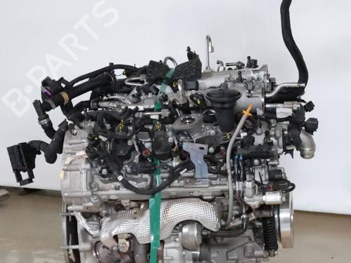 Used Engine Engine ALFA ROMEO GIULIA (952_) 2.9 Quadrifoglio (952AAM24) (510 hp) 27253519 27253519