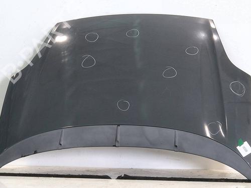 hood-fiat-punto-evo-199_-2008-29278231 main image