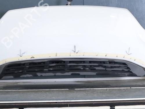 hood-fiat-ducato-platformchassis-250_-2006-39403429 main image