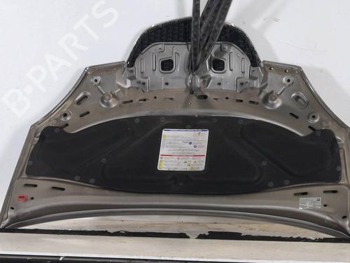 Hood LANCIA MUSA (350_) 1.4 (350.AXA11, 350.AXA1A) | BP30260931C1