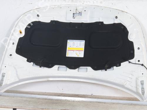 Hood FIAT TIPO Hatchback (356_, 357_) 1.6 Multijet (357HXG1) | BP27722924C1