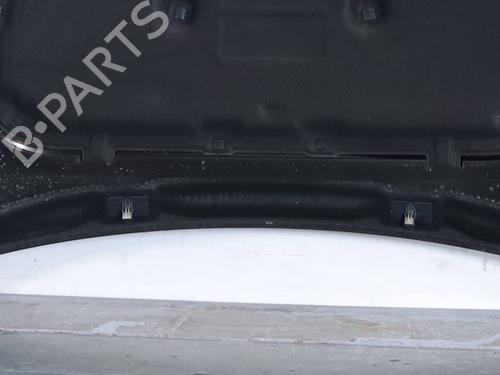 Hood ALFA ROMEO TONALE (965_) 1.5 Mild Hybrid | BP32029041C1