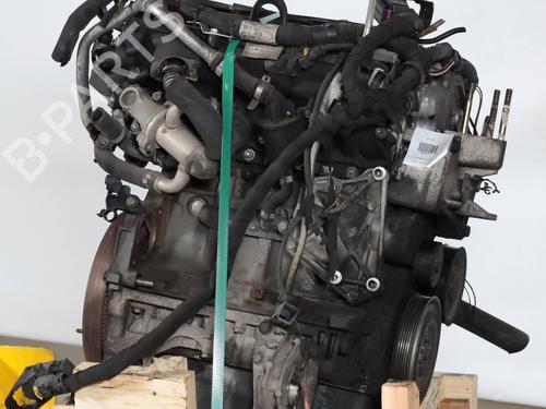 Engine LANCIA YPSILON (843_) 1.3 JTD (843.AXD11, 843.AXD1A) | BP27367250M1 - Image 2