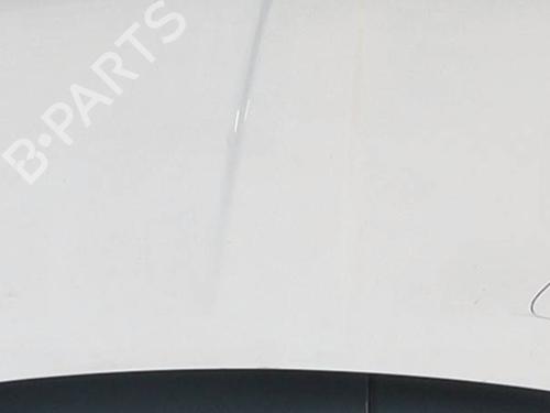 Used Hood FIAT 500 (312_) 1.2 (312AXA1A) (69 hp) 29481027