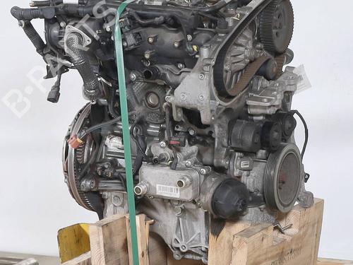 Engine FIAT 500L (351_, 352_) 1.6 D Multijet (199LYD1B) | BP29166962M1 - Image 3