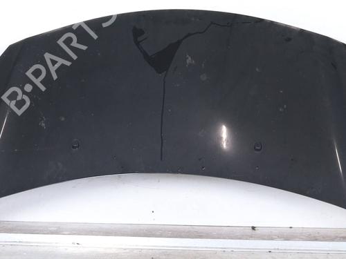 hood-citroen-c3-ii-sc_-2009-26316436 main image