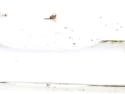 front-right-exterior-door-handle-jeep-renegade-suv-bu-b1-bv-2014-26912119 main image