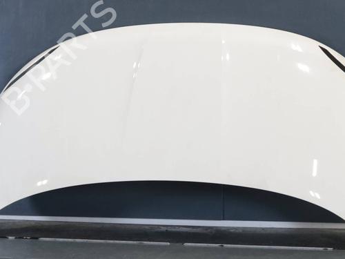 hood-fiat-500-312_-2007-40039650 main image