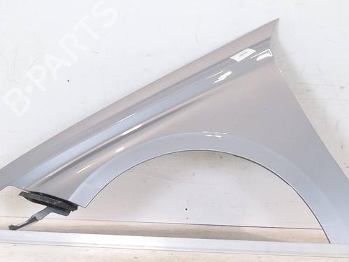 Used Left front fenders PEUGEOT 208 II (UB_, UP_, UW_, UJ_) e-208 (136 hp) 24555058