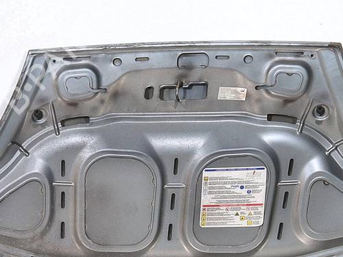 Hood FIAT GRANDE PUNTO (199_) 1.2 | BP29041088C1 
