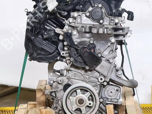 Engine FIAT PANDA (312_, 319_) 1.0 Mild Hybrid (312.PYD1B) | BP31048699M1