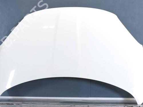 hood-fiat-500x-334_-2014-31902071 main image