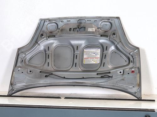 Hood FIAT GRANDE PUNTO (199_) 1.2 | BP29041088C1 