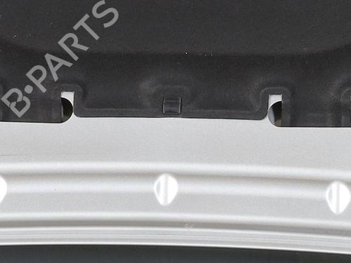 Hood ALFA ROMEO STELVIO (949_) 2.9 Q4 (949.AXG2A, 949.AXH2A, 949.AXS2A) | BP29826738C1