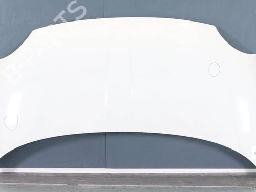 Used Hood Hood FIAT 500 (312_) 1.0 Mild Hybrid (312.AYD1B) (69 hp) 36447998 36447998