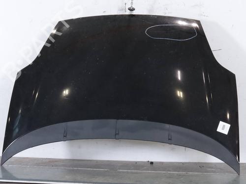 hood-fiat-punto-evo-199_-2008-34274587 main image
