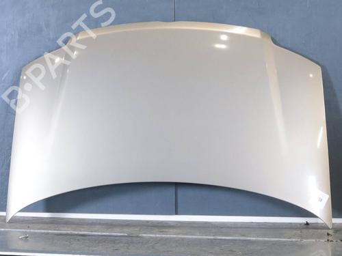 Used Hood Hood FIAT PANDA (169_) 1.2 (169.AXB11, 169.AXB1A) (60 hp) 34274480 34274480