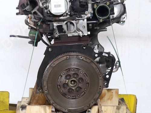 Engine LANCIA DELTA III (844_) 1.6 D Multijet (844.AXC11, 844.AXC1A) | BP31941920M1 - Image 4