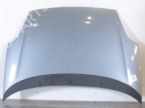 Used Hood Hood FIAT GRANDE PUNTO (199_) 1.2 (69 hp) 33734175 33734175