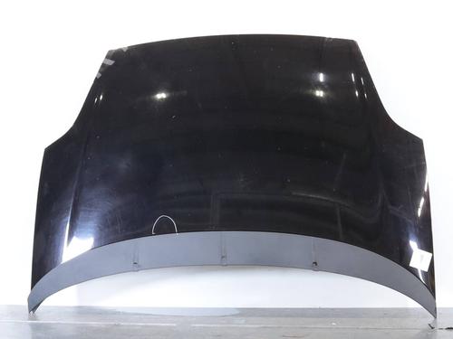 Used Hood Hood FIAT PUNTO EVO (199_) 1.3 D Multijet (199AXC1A, 199BXC1A, 199AXT1A, 199BXT1A) (75 hp) 36404321 36404321