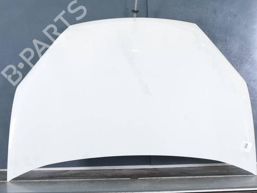 hood-fiat-doblo-cargo-263_-2010-39403385 main image