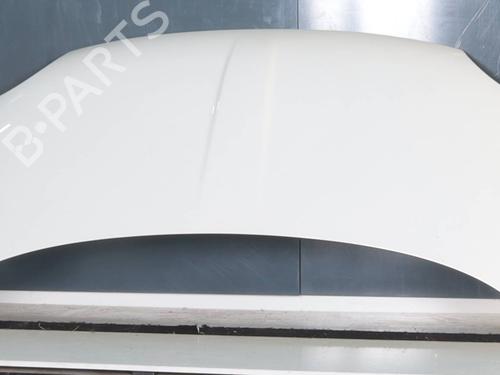 Used Hood Hood ABARTH 500 / 595 / 695 1.4 (312.AXZ11) (165 hp) 23441306 23441306