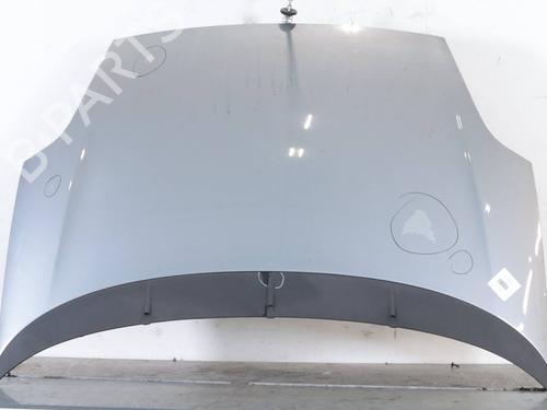 hood-fiat-punto-evo-199_-2008-33615830 main image