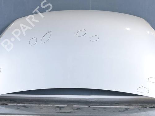 Used Hood Hood FIAT TALENTO Van (296_) 1.6 D (145 hp) 33283468 33283468