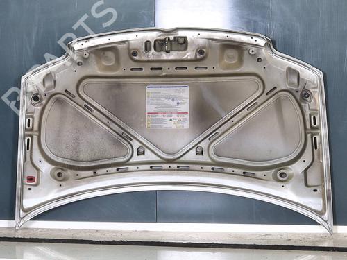 Hood FIAT PANDA (169_) 1.2 (169.AXB11, 169.AXB1A) | BP29008852C1 
