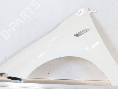 Used Left front fenders FIAT TIPO Saloon (356_, 357_) 1.4 (356SXA1B) (95 hp) 24450396