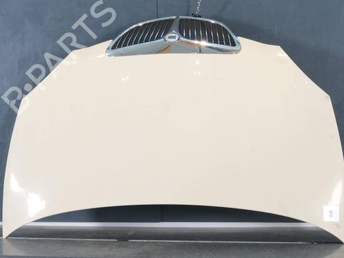Used Hood Hood LANCIA YPSILON (843_) 1.4 16V (843.AXC11, 843.AXC1B, 843.AXC1A) (95 hp) 35974146 35974146