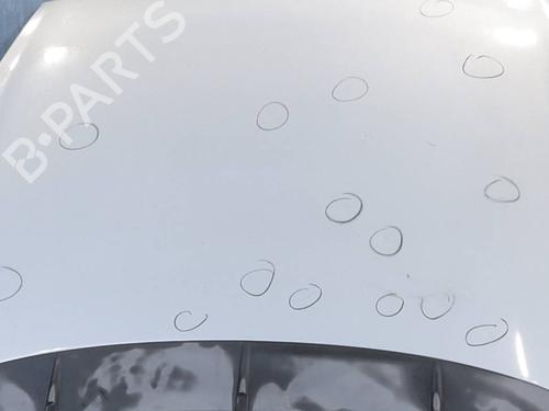 Hood FIAT GRANDE PUNTO (199_) 1.4 (199AXB11, 199AXB1A, 199BXB1A, 199AXL1A) | BP29453902C1 