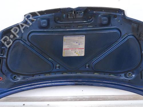 Hood FIAT PANDA (169_) 1.2 (169.AXB11, 169.AXB1A) | BP25793162C1