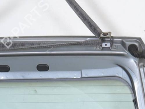 Tailgate FIAT GRANDE PUNTO (199_) 1.2 | BP29041094C6 
