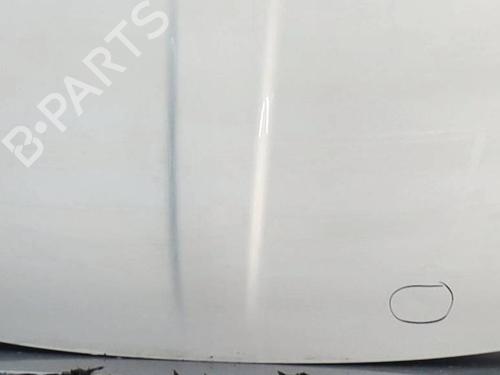 Used Hood FIAT 500 (312_) 1.0 Mild Hybrid (312.AYD1B) (69 hp) 30662605