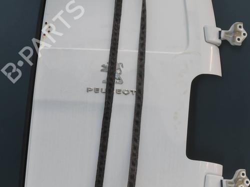 Right tailgate PEUGEOT EXPERT Van (V_) 2.0 BlueHDi 120 | BP30662060C77
