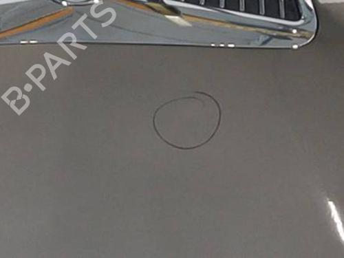 Used Hood LANCIA MUSA (350_) 1.4 (350.AXA11, 350.AXA1A) (95 hp) 30260931